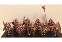 Wyrmian Spearmen with Shields (35 figures)