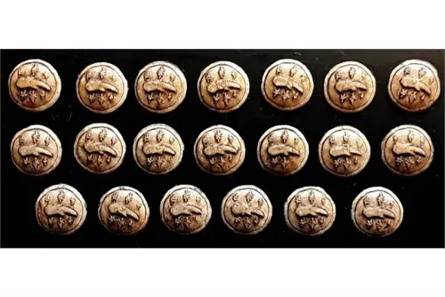 Amazonian Infantry Shields (20 Shields)