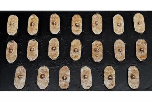 Barbarian Shield #1 (20 Shields)