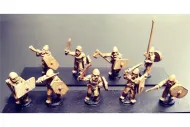 Barbarian Swordsmen with Shields (16 figures)