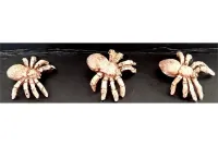 Delvian War Spiders & Packmaster (19 figures)