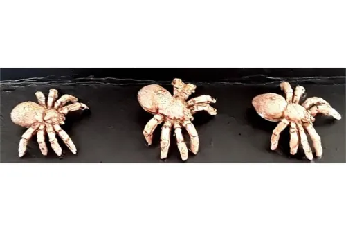 Delvian War Spiders & Packmaster (19 figures)