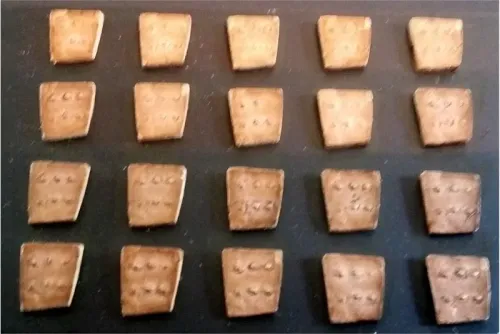 Dwarian Studded Iron Shields (20 Shields)