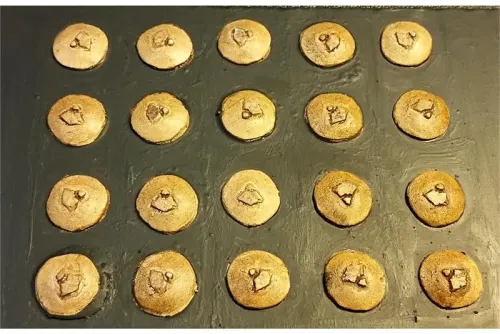 Goblian Raptor Cavalry Shields (20 Shields)