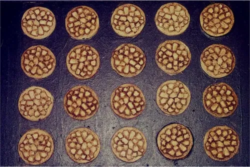 Scalian Shields (20 Shields)