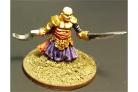 Cult Priest (1 figure)