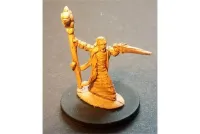 Royal Wizard (1 figure)