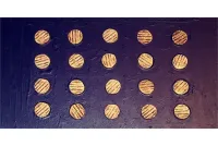 Vermian Shields (20 Shields)