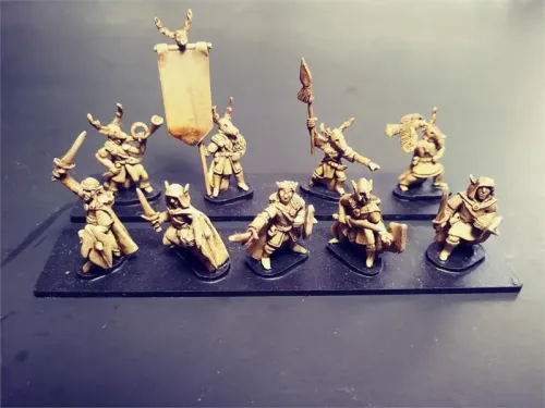 Wovian Swordsmen with Shields (35 figures)